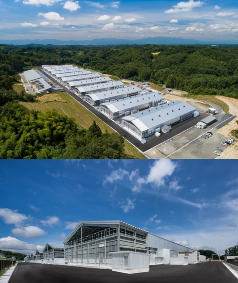 某養鶏場様